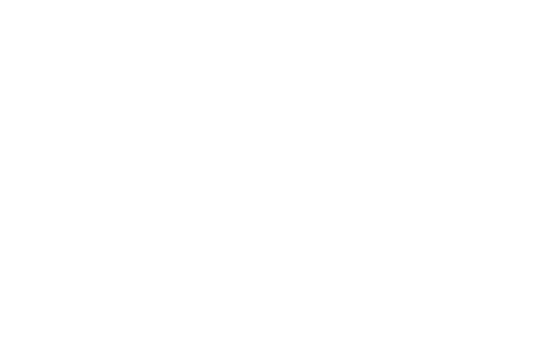 Tree surgeon manchester  